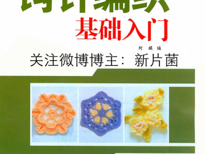 零基础钩针教程（视频+PDF教程）