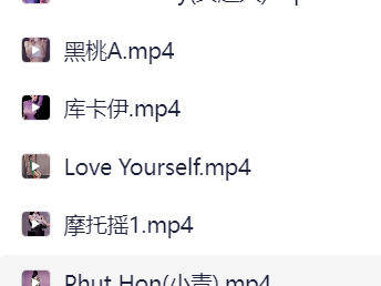 爱舞蹈的小七《B站充电视频合集 (热舞) 》