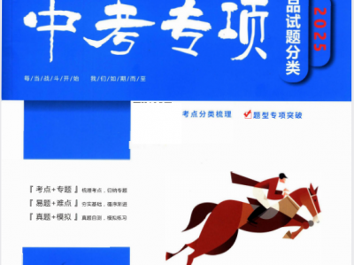 ✅2025《一飞冲天-中考专项》物理